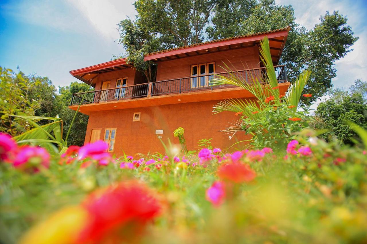 Jungle Hut Resort Sigiriya Exterior photo